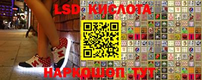 прущие крисы Камышлов