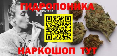 прущие крисы Камышлов