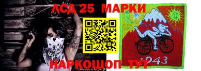 прущие крисы Камышлов